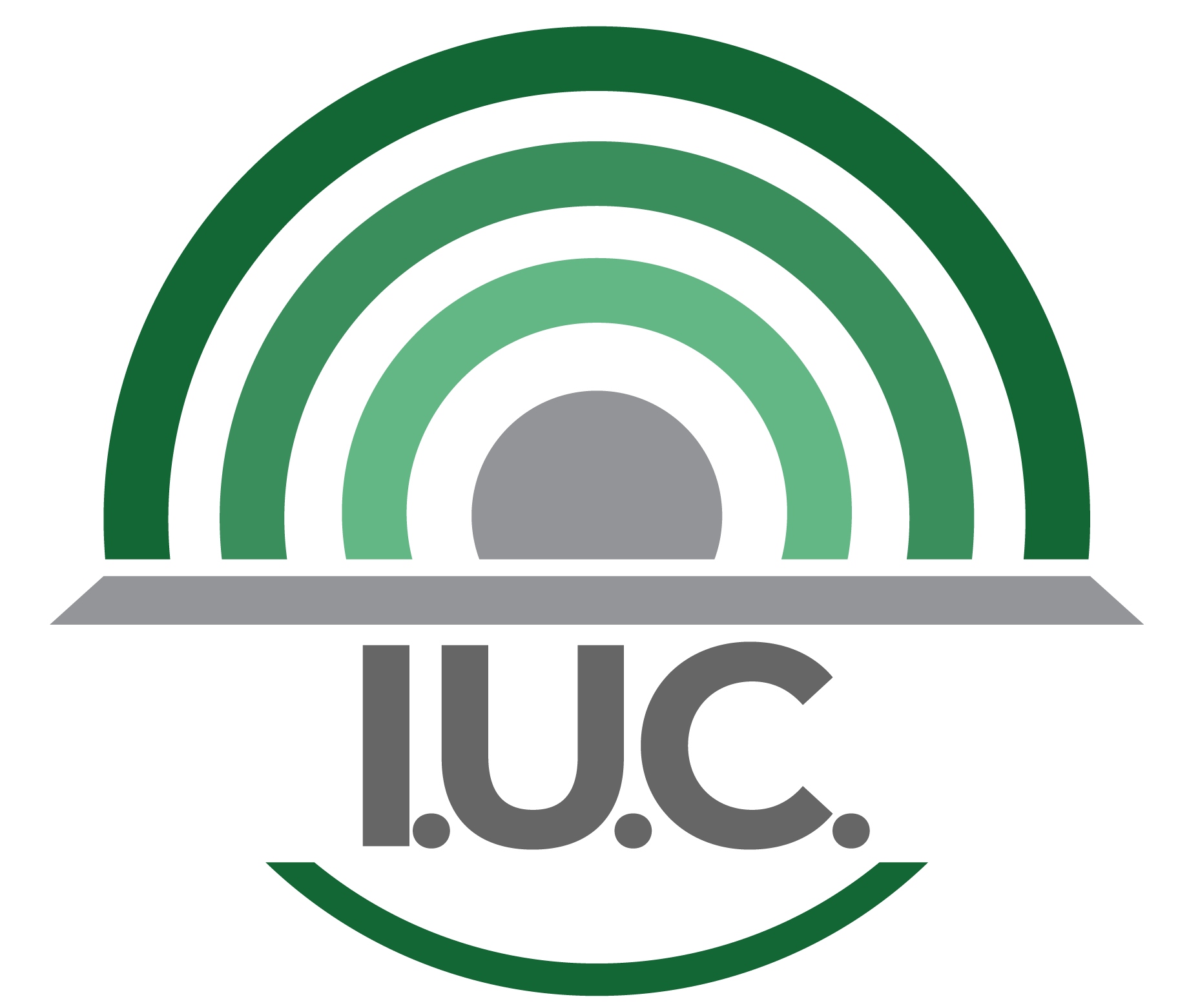 Logo I.U.C.